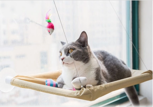 Cat Window Bed - Gitau Pets